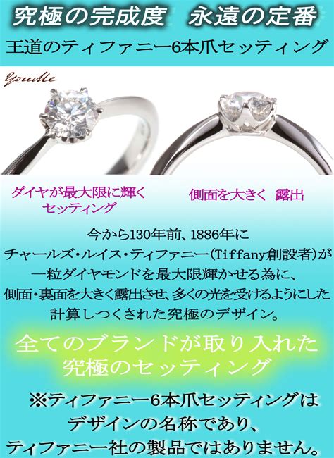 ティファニー 婚約指輪 今年購入 019カラット 国際ブランド アクセサリー