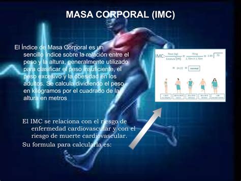 Indice De Masa Corporal Pulso Y Formula De Karvonen PPT Descarga