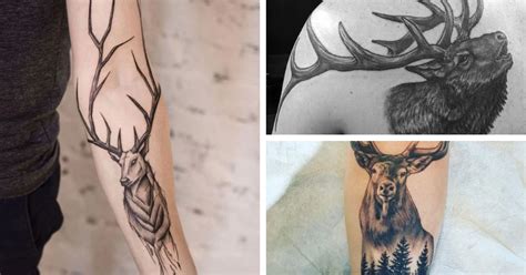 Elk Tattoo Meaning: A Comprehensive Guide For Everyone 2023