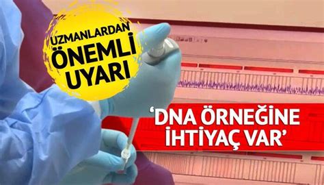 Dna Rne Ine Ihtiyac M Z Var Deprem Felaketinde Yak Nlar N