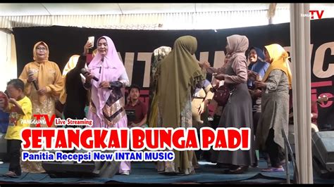 Setangkai Bunga Padi Ibu Ibu Panitia Recepsi New INTAN MUSIC YouTube