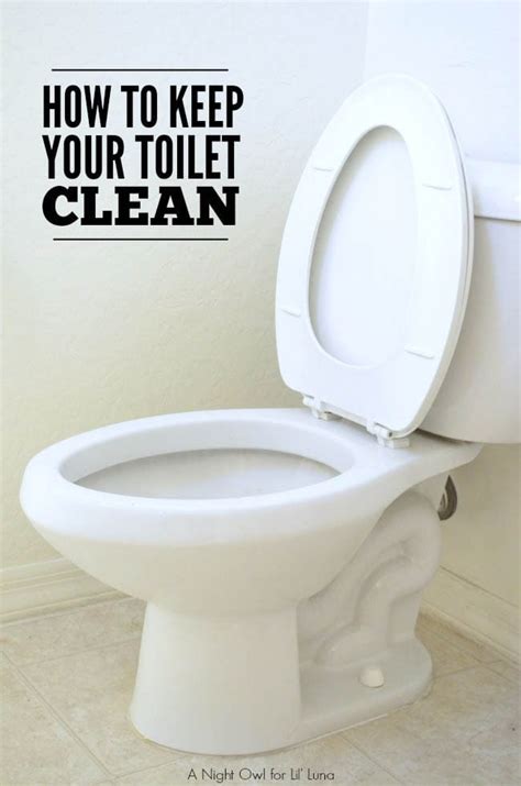 How To Keep Your Toilet Clean Lets Diy It All With Kritsyn Merkley