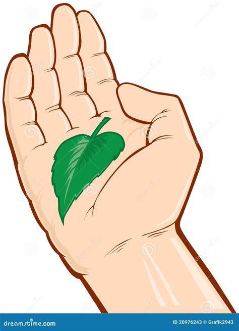 Hands Holding Green Leaf Stock Vector Illustration Of Hand 20976243