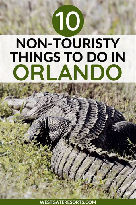 10 Non Touristy Things To Do In Orlando Non Touristy Orlando Things