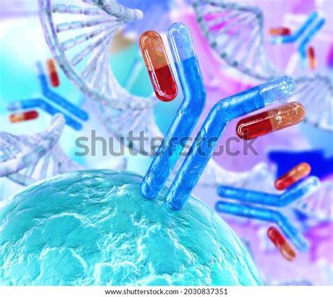 Antibodies Immunoglobulins Immune System 3d Rendering Stock