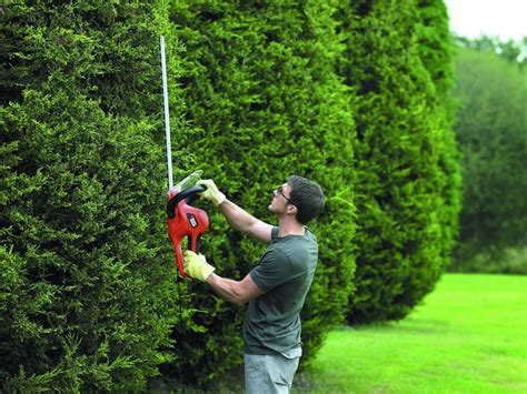9 Best Electric Hedge Trimmers Reviewed (Winter 2024)