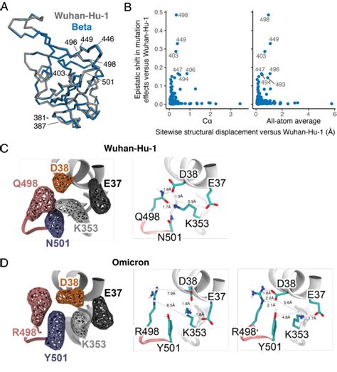 Epistatic Shifts Are Not Accompanied By Large Structural Perturbations