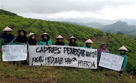 Buruh Perkebunan Teh Mendukung Firli Bahuri Maju pada Pilpres 2024