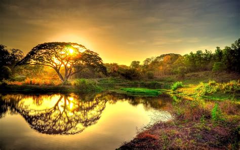 Beautiful Gold Sunrise Sky Clouds Tree Lake Reflection In Water ...