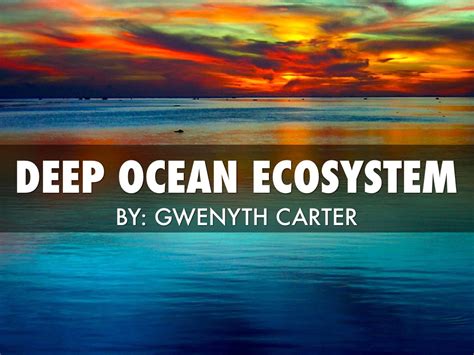 Deep Ocean Ecosystem by Gwen C