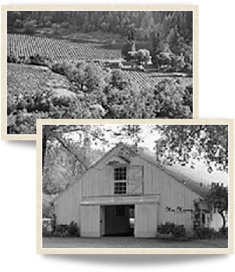 History | MacMurray Estate Vineyards