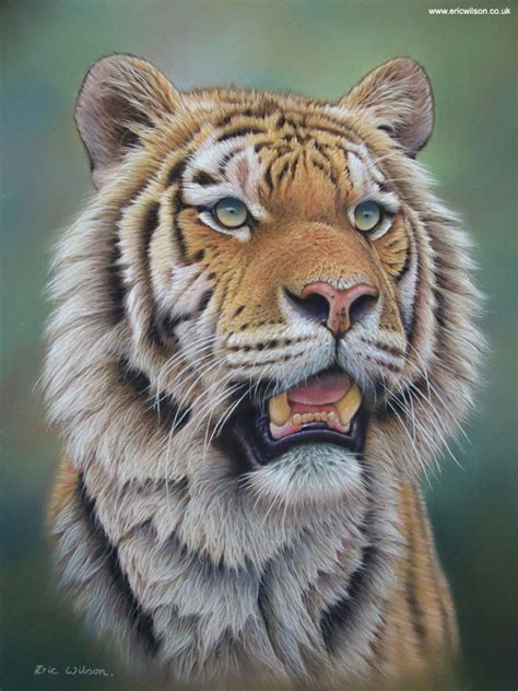 The Art Of Eric Wilson A Tiger Portrait In Pastels