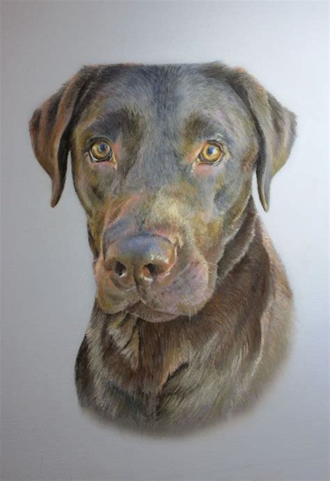 A Pastel Painting Of Fergus A Beautiful Chocolate Labrador This Pet