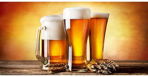 Indian Beer Market Analysis Growth Consumption Size Statistics Top