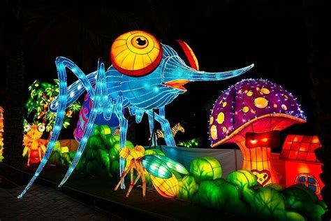 Visita Il Dubai Garden Glow Con Ritiro E Riconsegna Facoltativi Fornito