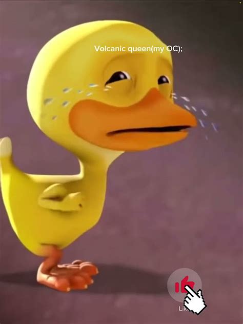 Crying Duck Meme Youtube