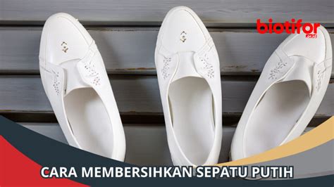 Cara Membersihkan Sepatu Putih Tips Agar Sepatu Bersinar Biotifor