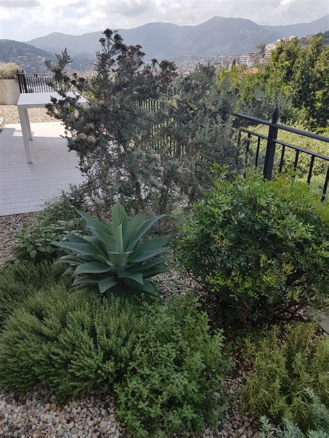 Giardino Pensile Con Vista Sul Porto Di Rapallo Mediterranean