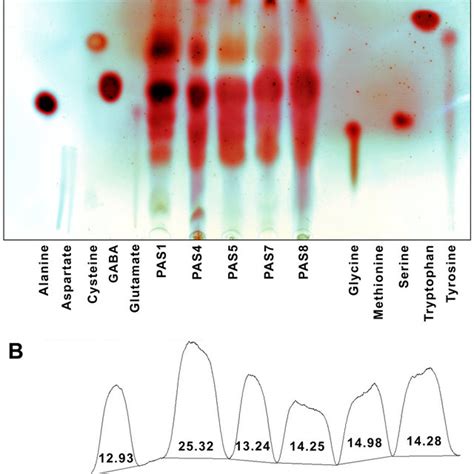 Tlc Chromatogram A And Semiquantification By Densitometry B Of Download Scientific Diagram