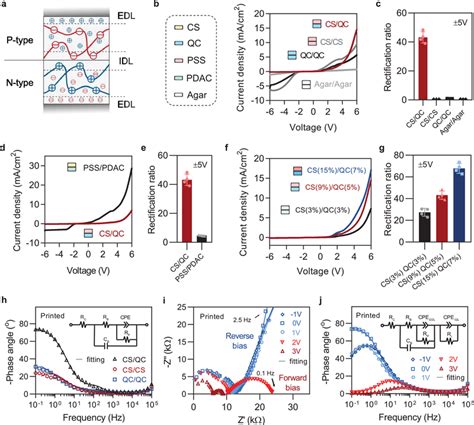 Electrical Characterizations Of Ionic Junctions A Schematic