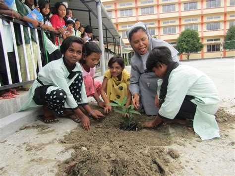 Educação Ecológica Semana Laudato Si Maneiras de Adotar Ações