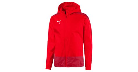 P Nska Portov Bunda Puma Teamgoal Trg Rain Jacket Erven Ad