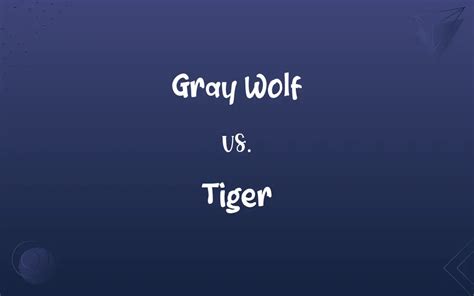 Gray Wolf vs. Tiger: What’s the Difference?