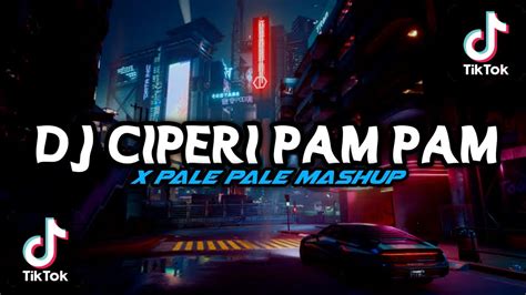 DJ CIPERI PAM PAM X PALE PALE MASHUP DJ TIKTOK TERBARU 2022 Luxica