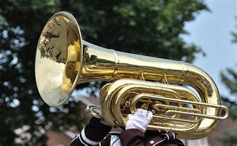 Top 60 Marching Tubas Stock Photos, Pictures, and Images - iStock