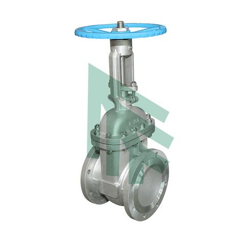 Super Duplex Stainless Steel Gate Valves