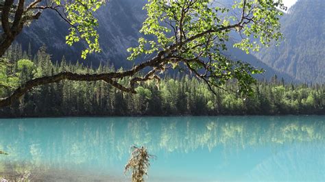 Berg Lake Trail Mount Robson Provincial Park British Columbia Kanada