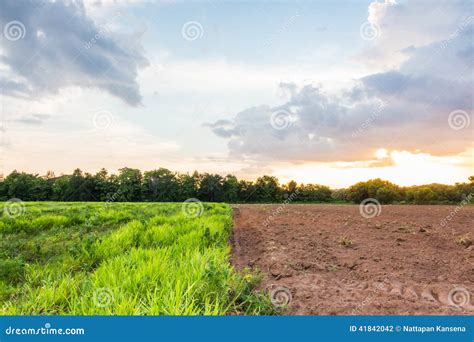 Farmland Sunset Stock Photo Image Of Earth Tracks Light 41842042