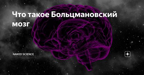 Что такое Больцмановский мозг Naked Science Дзен