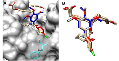 Co Crystal Structure Of Compound E Sticks In Complex With The Fk