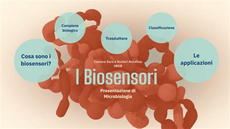 Biosensori Micro By Sara Camera On Prezi