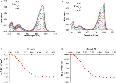 Urea Induced Denaturation Study Of The Single Peptide Apc A Subunit A