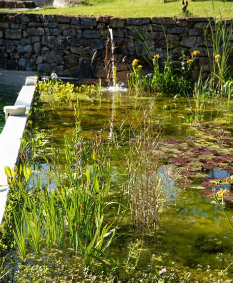 Tapes Pour Cr Er Un Bassin Dans Son Jardin