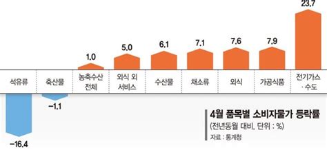 농산물·석유류 뺀 근원물가는 46 올라 불확실성 여전 물가 14개월만에 3대 하락 네이트 뉴스