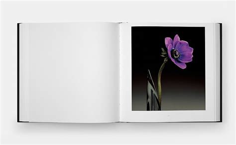 Mapplethorpe Flora The Complete Flowers 9781838668211 Holborn Mark Levas