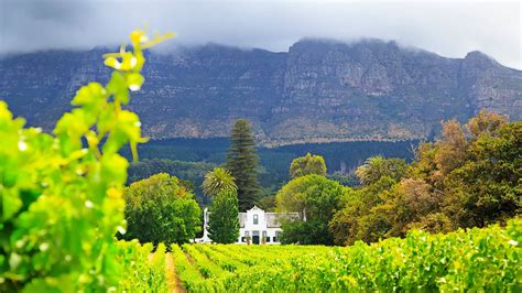 CAPE WINELANDS – Travel Republic Africa