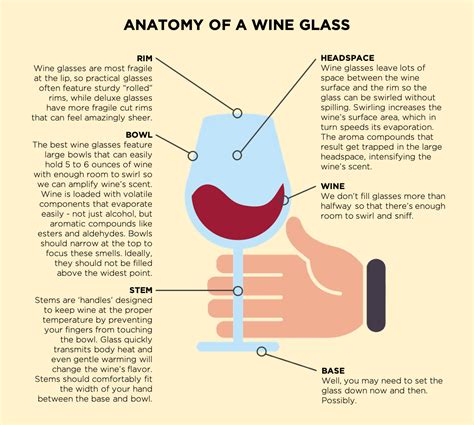 Anatomy Of A Wine Glass Boisset Collection