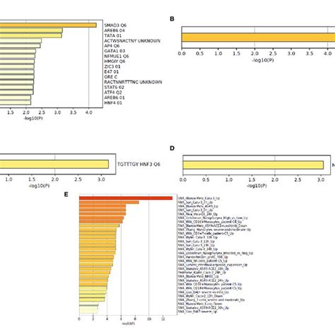 The Functional Pathway Enrichment Analysis In Transcription Factor