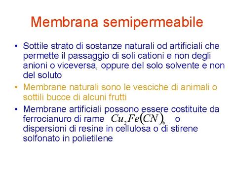 Tensione Superficiale Propriet Caratteristica Dei Liquidi Che Si