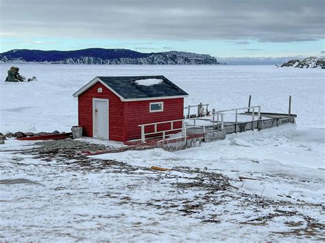 Cora Lee Rennie Red Fishing Stage In Sea Ice Jenkins Cove