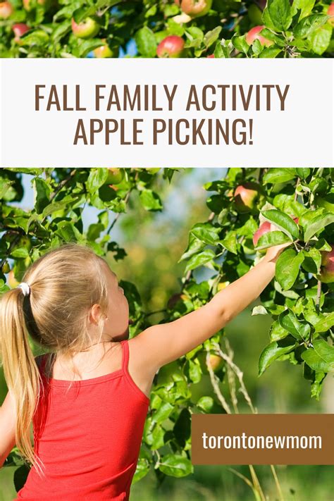 Fall Family Activity- Apple Picking Toronto & GTA