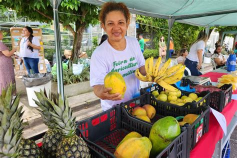 Semas Artesanato Sustent Vel E Agricultura Familiar Geram Renda Para