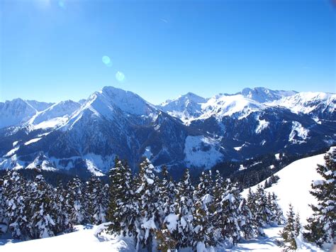 Triebenfeldkogel M Berggipfel Alpenvereinaktiv