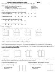 Punnett Square Practice Worksheet 2018 1 Pdf Punnett Square Practice