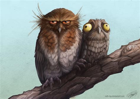 Potoo Camouflage by Ruth-Tay on DeviantArt