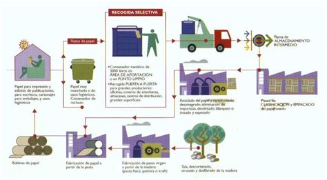 Cómo Se Hace El Papel Reciclado Proceso Y Consejos Reciclaje Contemar